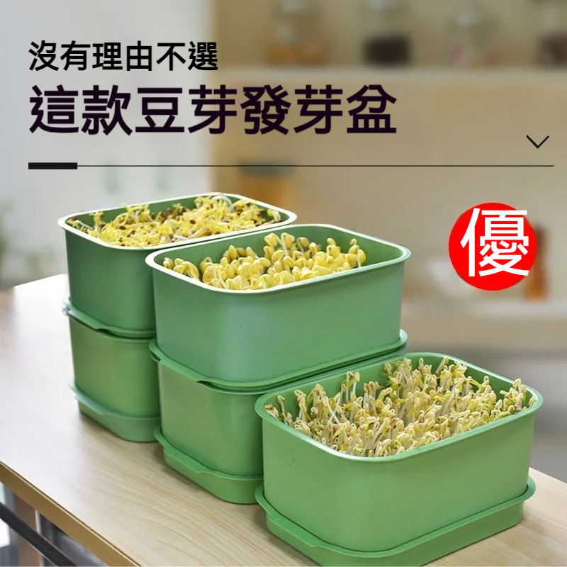 豆芽苗泡發盆